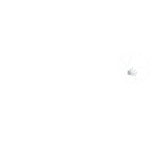Multiphysio