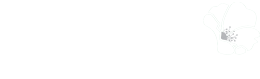 Multiphysio